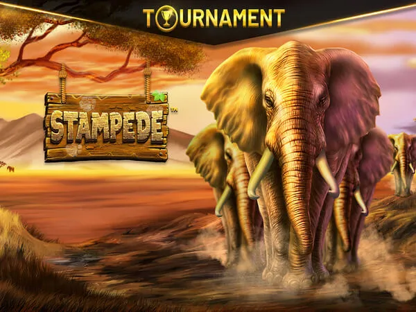 cipherwins casino games